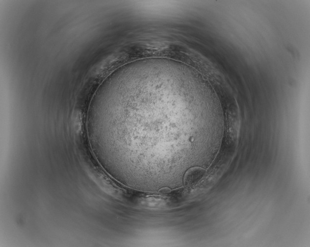 X0000112780758200908201528