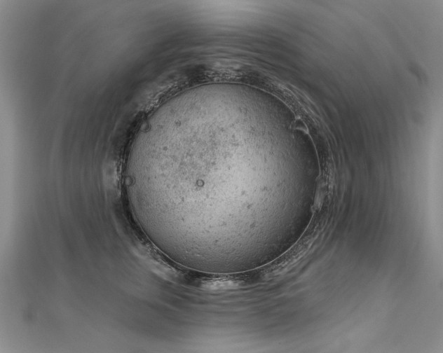 X0000112780759200908201528