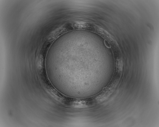 X0000112780760200908201528