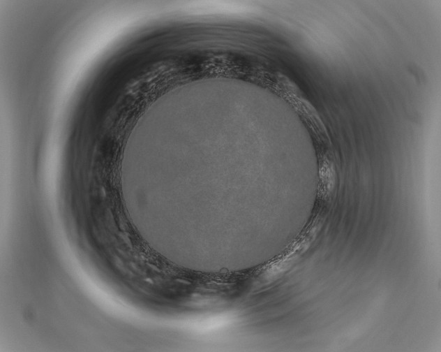 X0000112780765200908201529