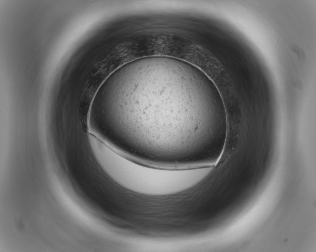 X0000112780766200908201529