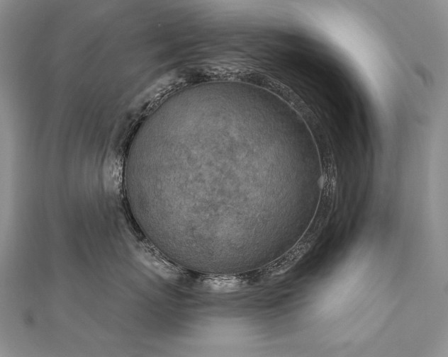 X0000112780767200908201529