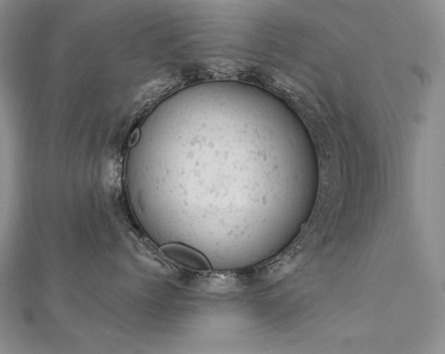 X0000112780768200908201529