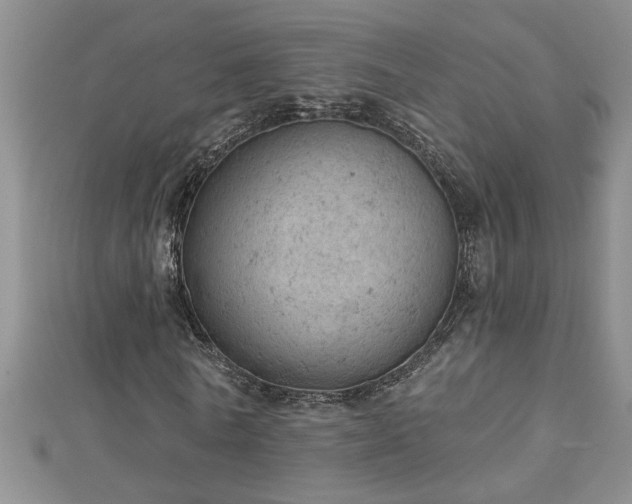 X0000112780770200908201528