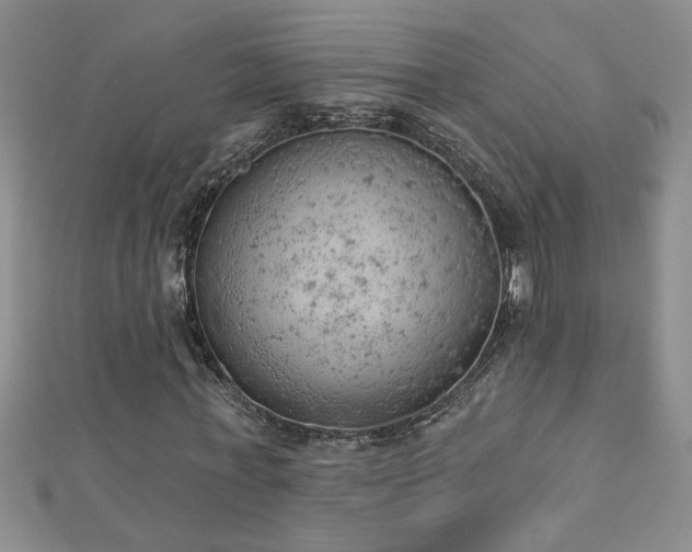 X0000112780771200908201528