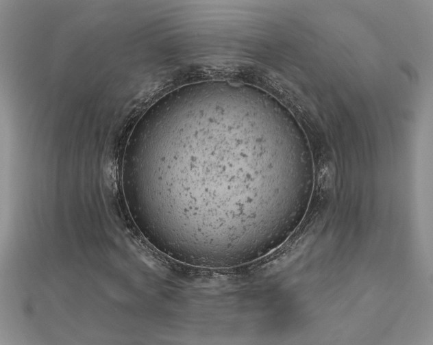 X0000112780772200908201528