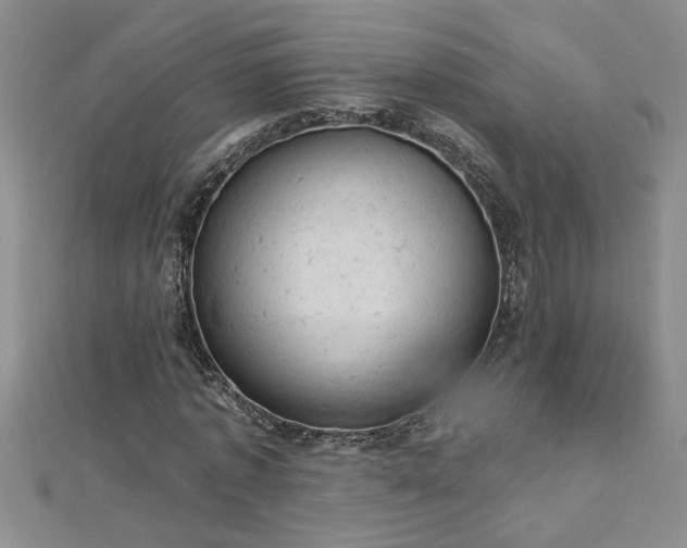 X0000112780773200908201528