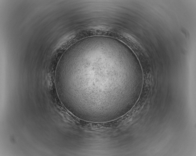 X0000112780774200908201528