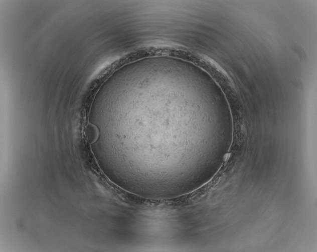 X0000112780775200908201528