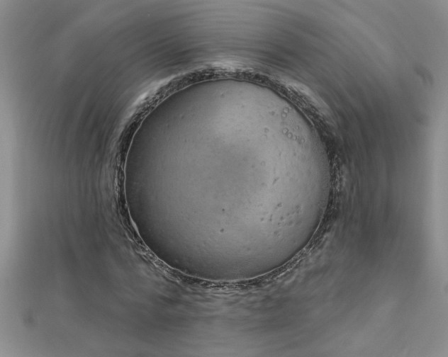 X0000112780776200908201528