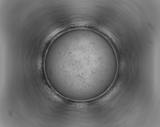 X0000112780778200908201528