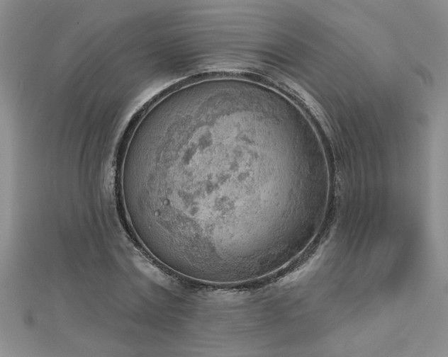 X0000112780779200908201528