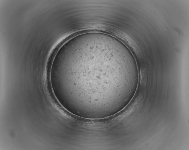 X0000112780780200908201528