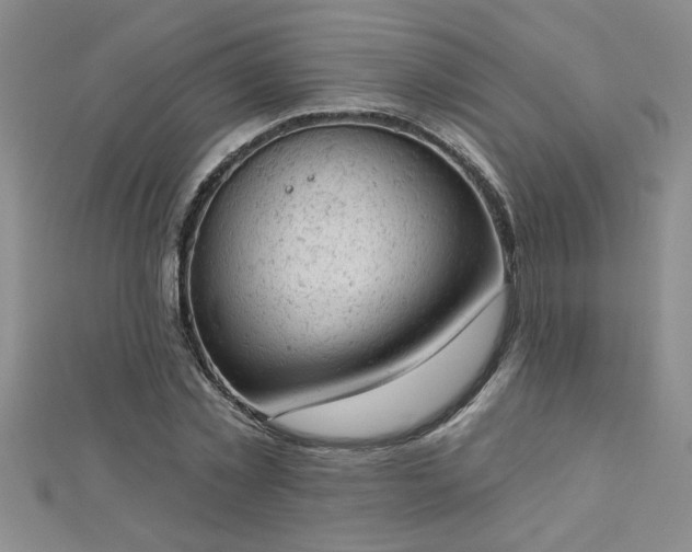 X0000112780781200908201528