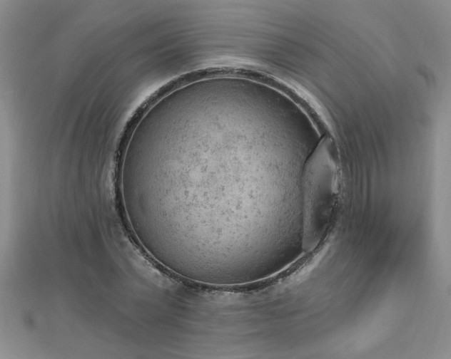 X0000112780783200908201528