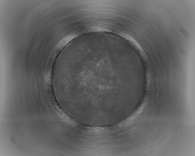 X0000112780785200908201528