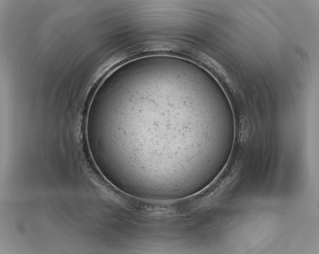 X0000112780786200908201528