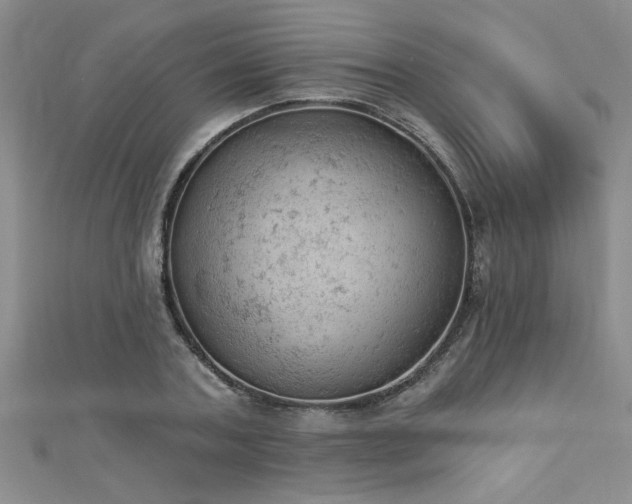 X0000112780787200908201528