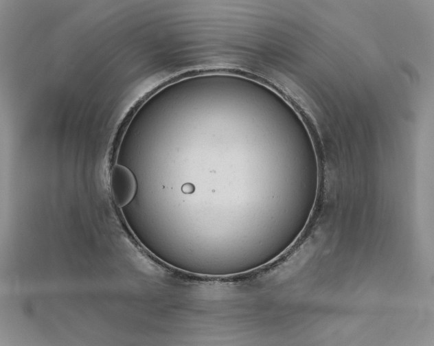 X0000112780789200908201528