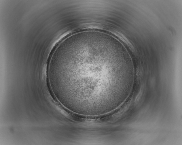 X0000112780790200908201528