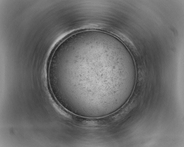 X0000112780792200908201528