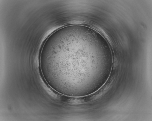 X0000112780795200908201528