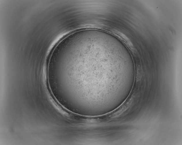 X0000112780796200908201528