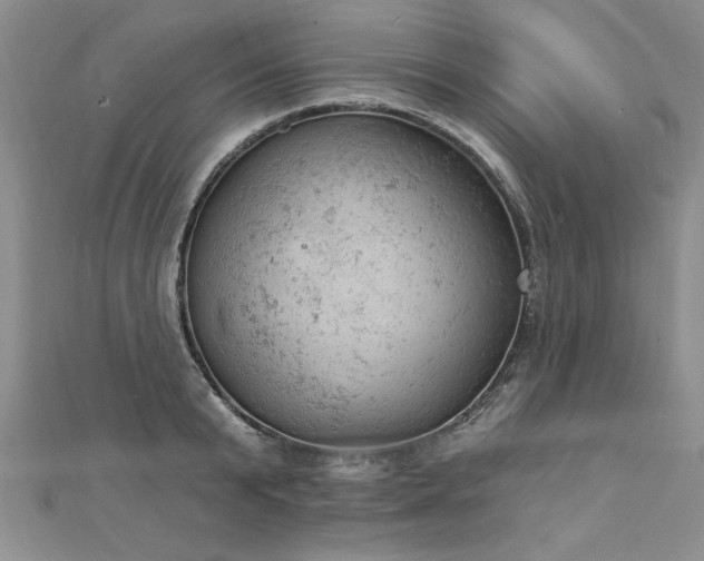 X0000112780799200908201528