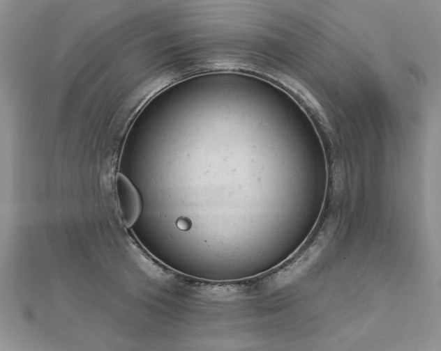 X0000112780801200908201527