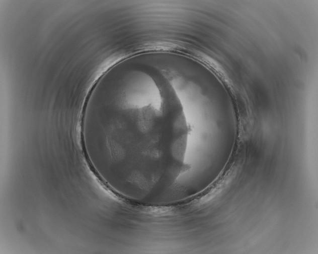 X0000112780802200908201527