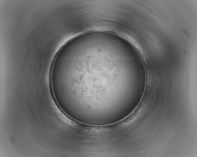 X0000112780803200908201527