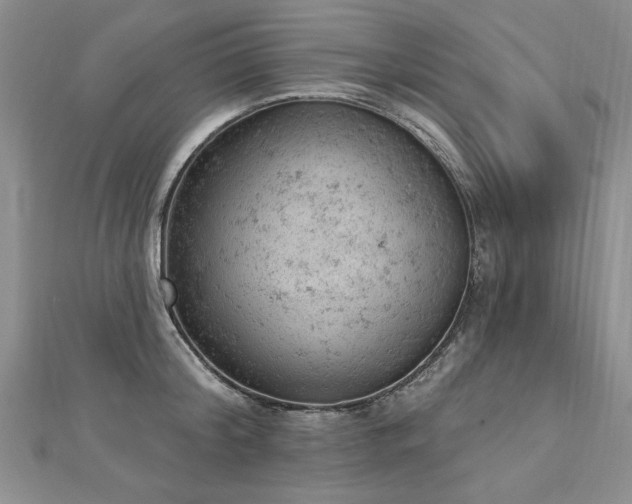 X0000112780804200908201527