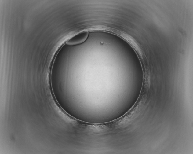 X0000112780805200908201527