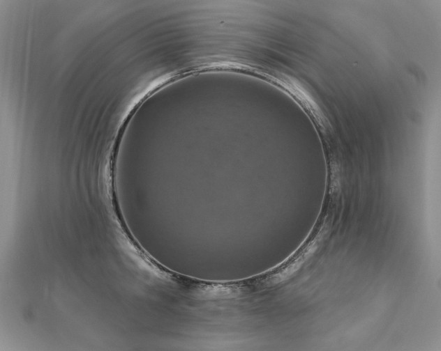 X0000112780806200908201527