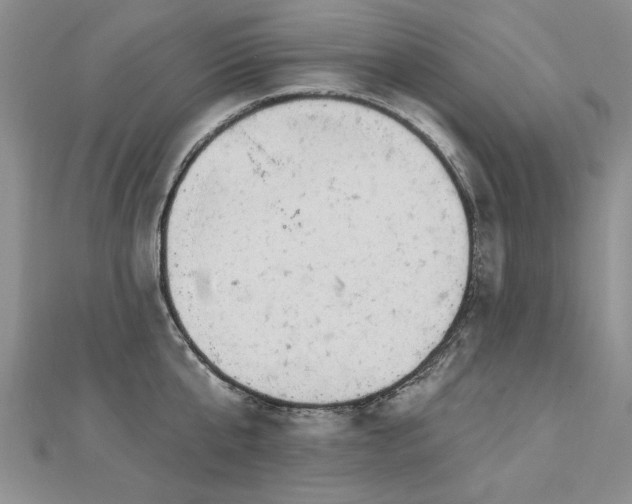 X0000112780807200908201527