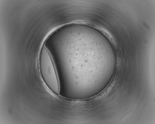 X0000112780808200908201527