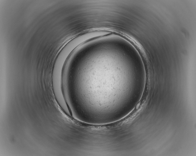 X0000112780809200908201527