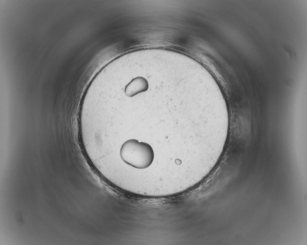 X0000112780810200908201527