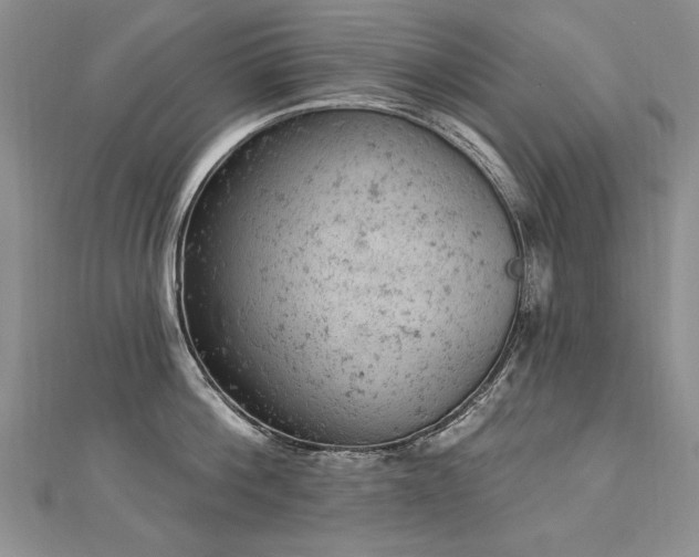 X0000112780812200908201527