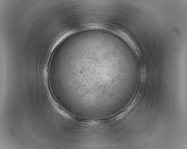 X0000112780814200908201527