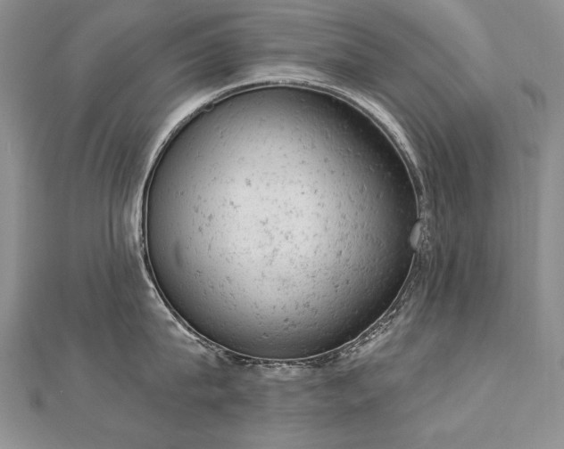 X0000112780815200908201527