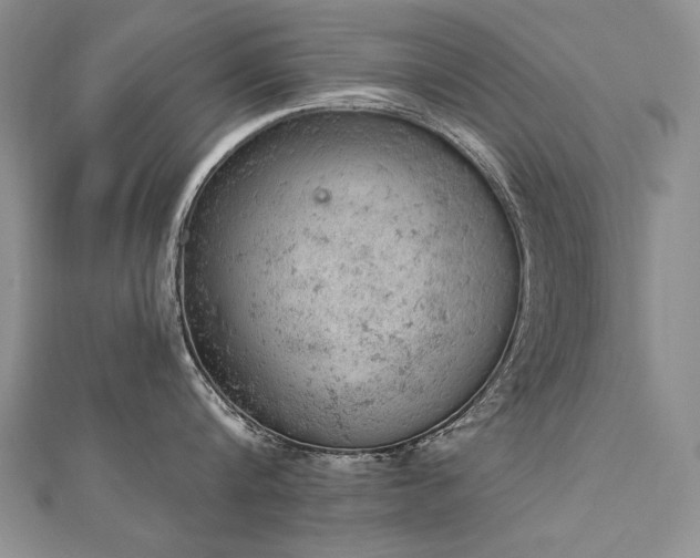 X0000112780816200908201527