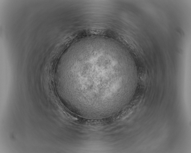 X0000112780817200908201527