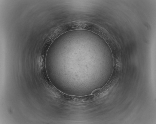 X0000112780818200908201527