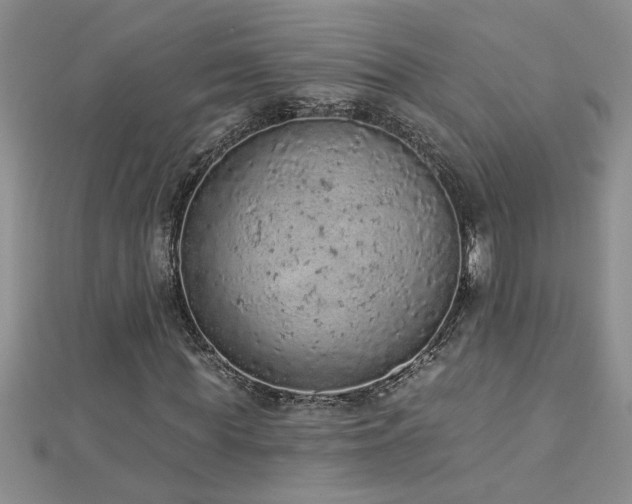 X0000112780819200908201527