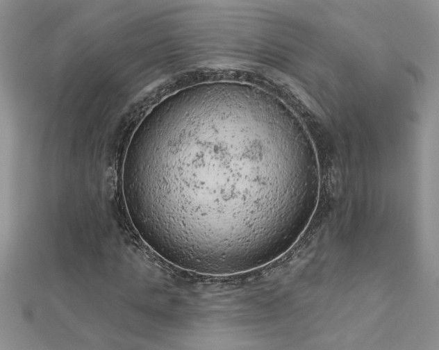 X0000112780821200908201527