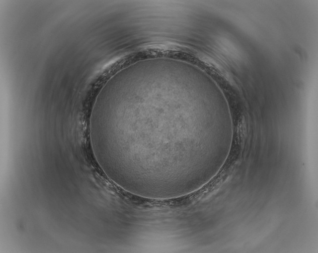 X0000112780822200908201527