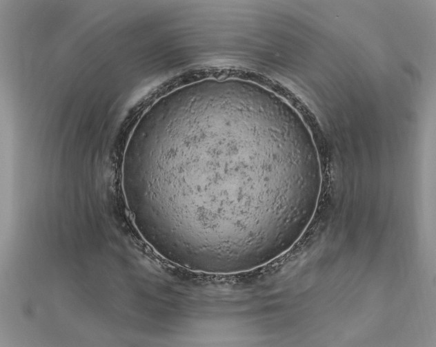 X0000112780823200908201527