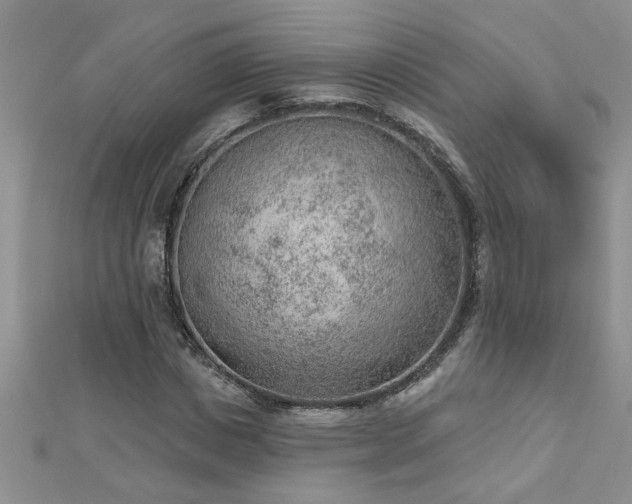 X0000112780825200908201527