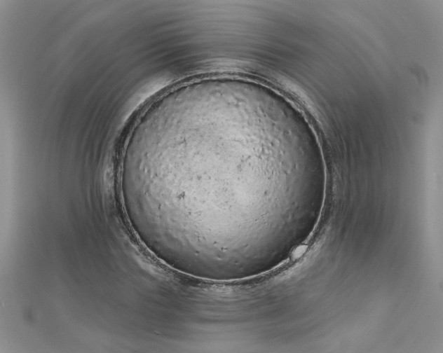 X0000112780827200908201527